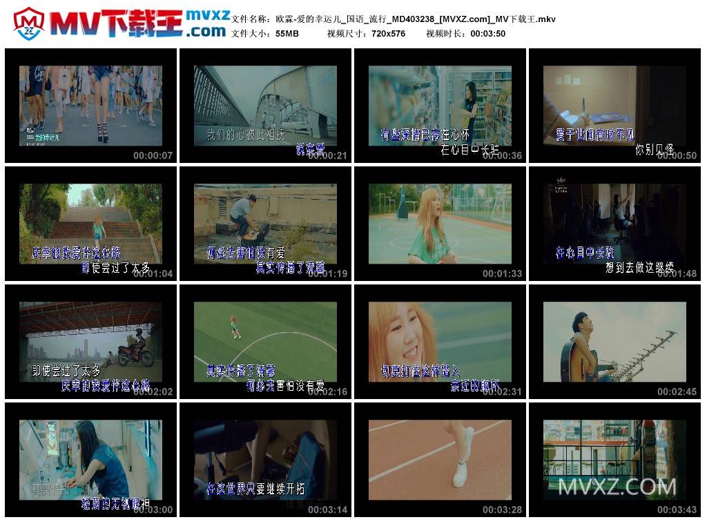 欧霖-爱的幸运儿_国语_流行_MD403238